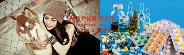 гидра Красноперекопск