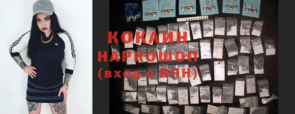гидра Красноперекопск