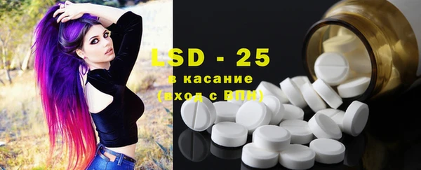 ПСИЛОЦИБИНОВЫЕ ГРИБЫ Краснослободск