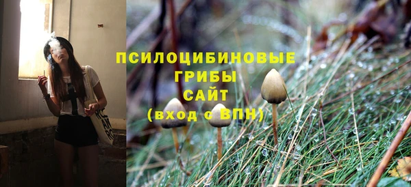 ПСИЛОЦИБИНОВЫЕ ГРИБЫ Краснослободск