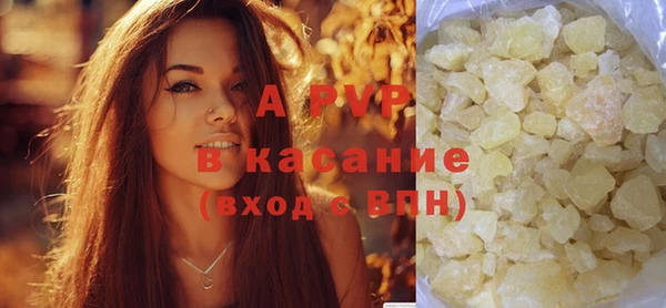 ПСИЛОЦИБИНОВЫЕ ГРИБЫ Краснослободск