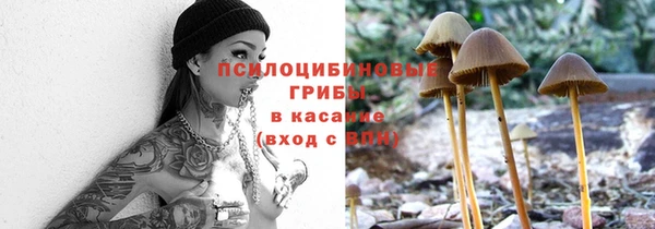 гидра Красноперекопск