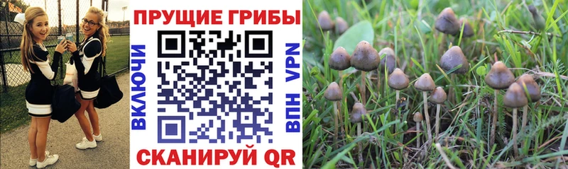 Галлюциногенные грибы Magic Shrooms Купить где Мамоново